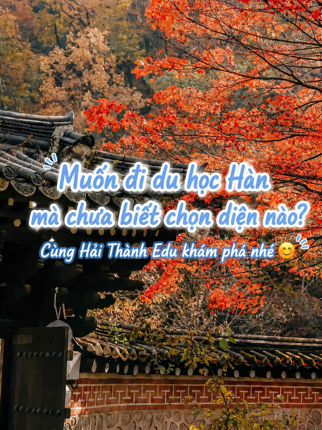 Muốn đi du học Hàn mà chưa biết chọn diện nào? Cùng Hải Thành Edu khám phá nhé 😊